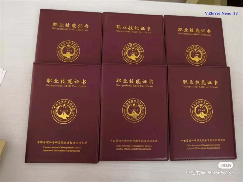 授权证书定制 授权证书定制-红金大气喜庆风